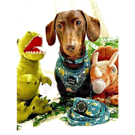 Jurassic Forest Dog Harness Pet Pooch 2