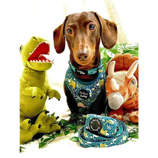 Jurassic Forest Dog Poo Bag Holder - Pet Pooch - 2