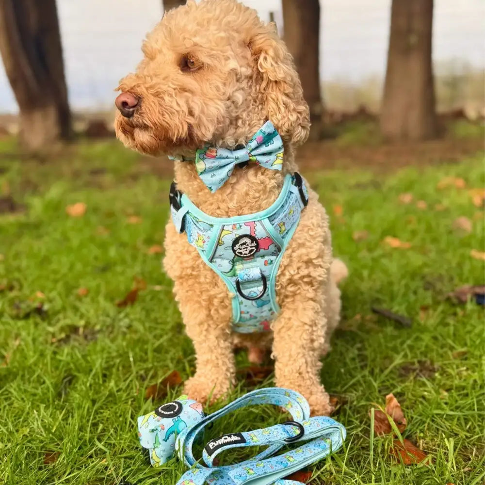 Jurassic Party Dog Bow Tie - Pupclub Couture - 2