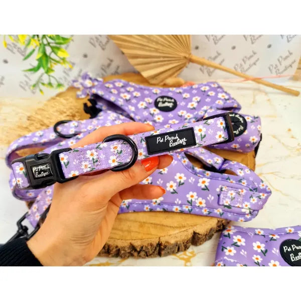 Lavender Daisies Dog Collar Pet Pooch 1