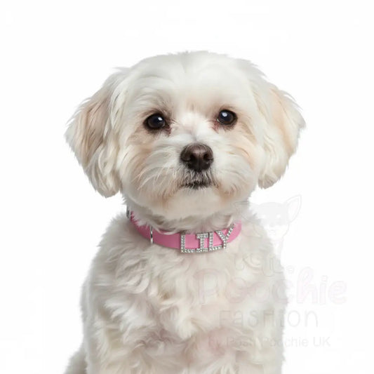 Lavender Pink Waterproof Personalised Dog Collar with Large Diamante Letters - Poochie Fashion - 2