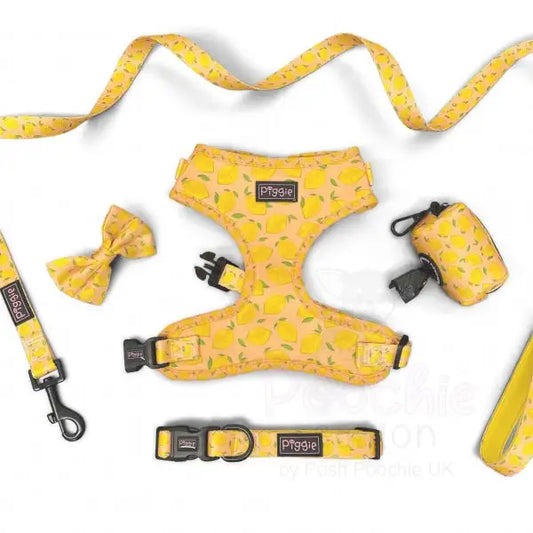 Lemon Squeeze Adjustable Dog Harness - Piggie - 2