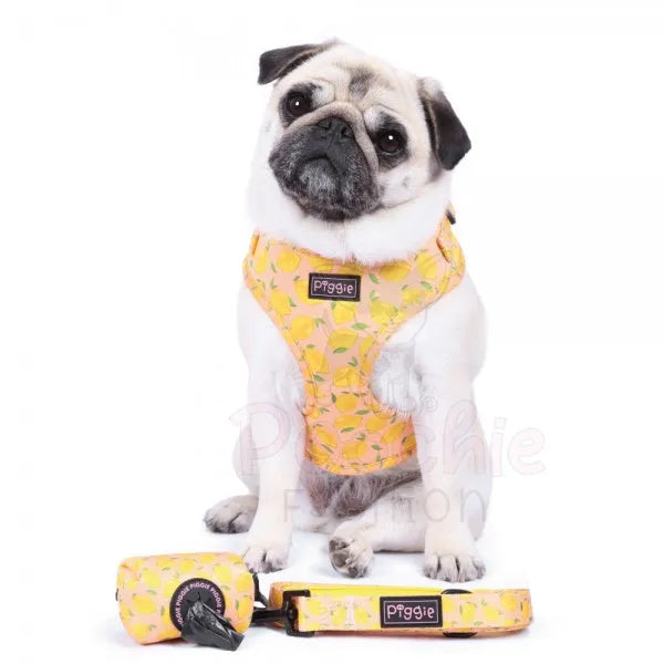 Lemon Squeeze Adjustable Dog Harness - Piggie - 4