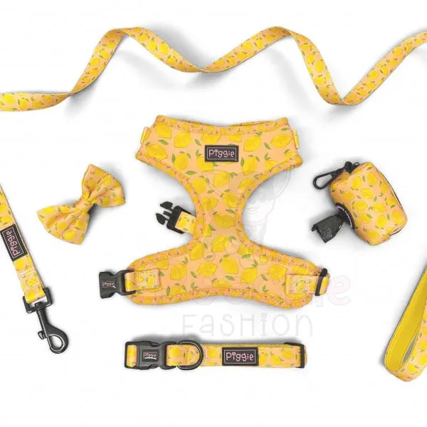 Lemon Squeeze Adjustable Dog Harness - Piggie - 5