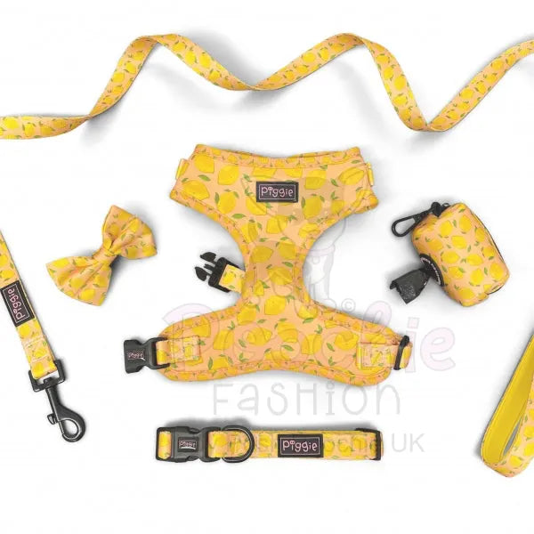 Lemon Squeeze Adjustable Dog Harness Piggie 2