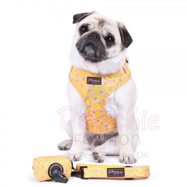 Lemon Squeeze Adjustable Dog Harness Piggie 5