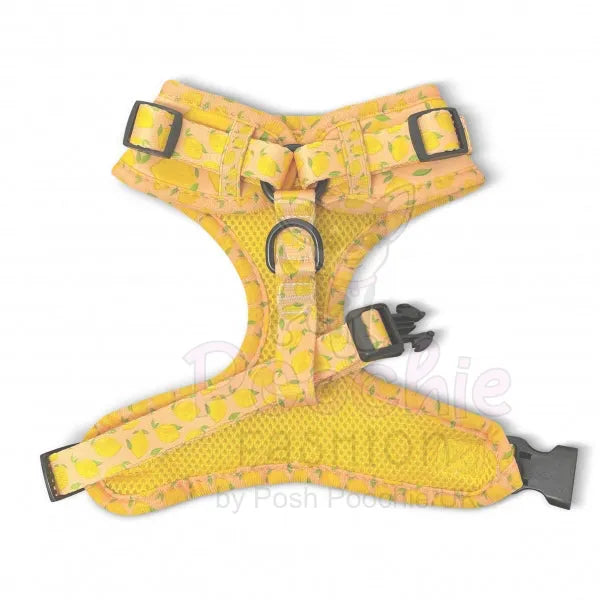 Lemon Squeeze Adjustable Dog Harness Piggie 3