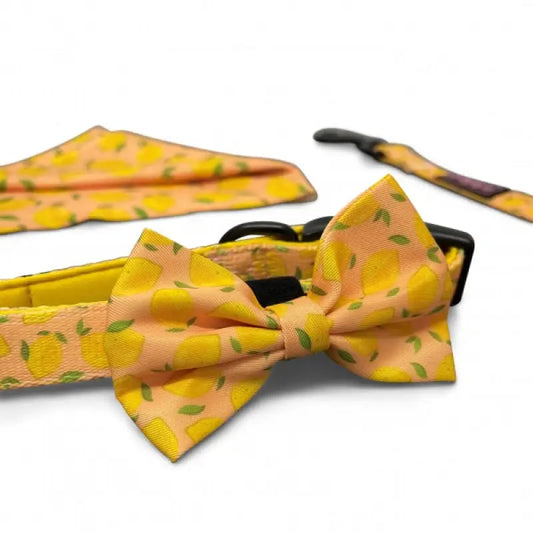 Lemon Squeeze Dog Bow Tie - Piggie - 1