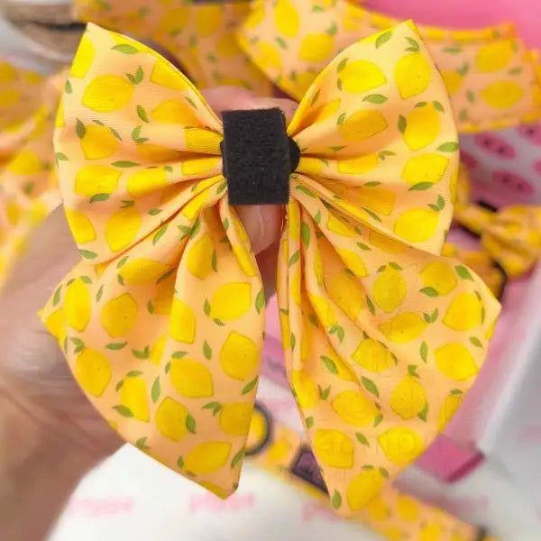 Lemon Squeeze Dog Sailor Bow Tie - Piggie - 3