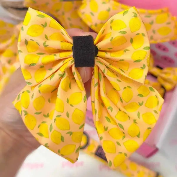 Lemon Squeeze Dog Sailor Bow Tie - Piggie - 3