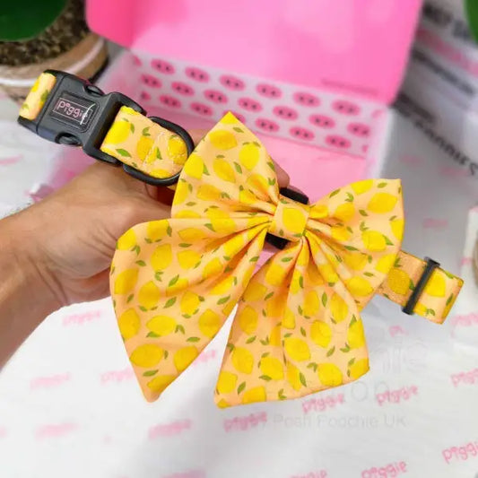 Lemon Squeeze Dog Sailor Bow Tie - Piggie - 2