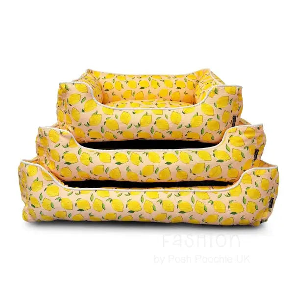 Lemon Squeeze Luxury Corduroy Dog Bed - Piggie - 2