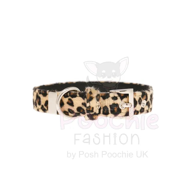 Leopard Print Fabric Dog Collar - Urban - 3