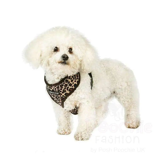 Leopard Plush Dog Harness & Lead Set - Posh Pawz - 2
