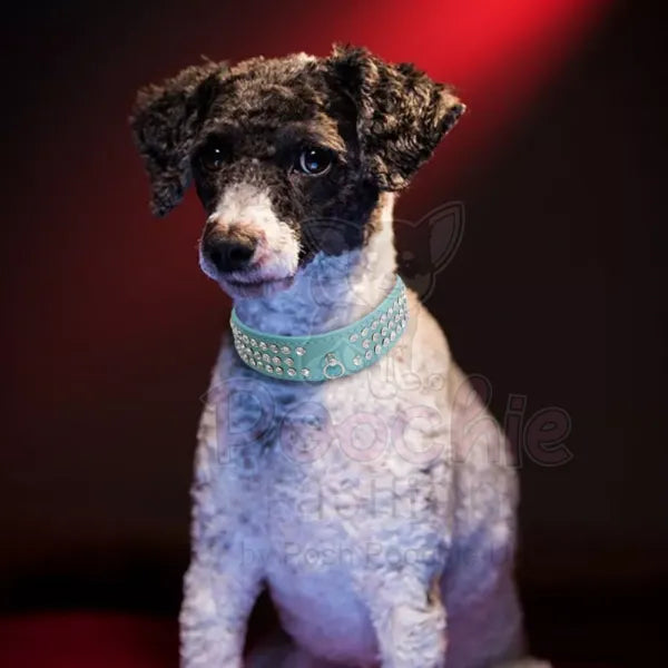 Light Blue Triple Rhinestone Eco-suede Dog Collar - Posh Pawz - 3