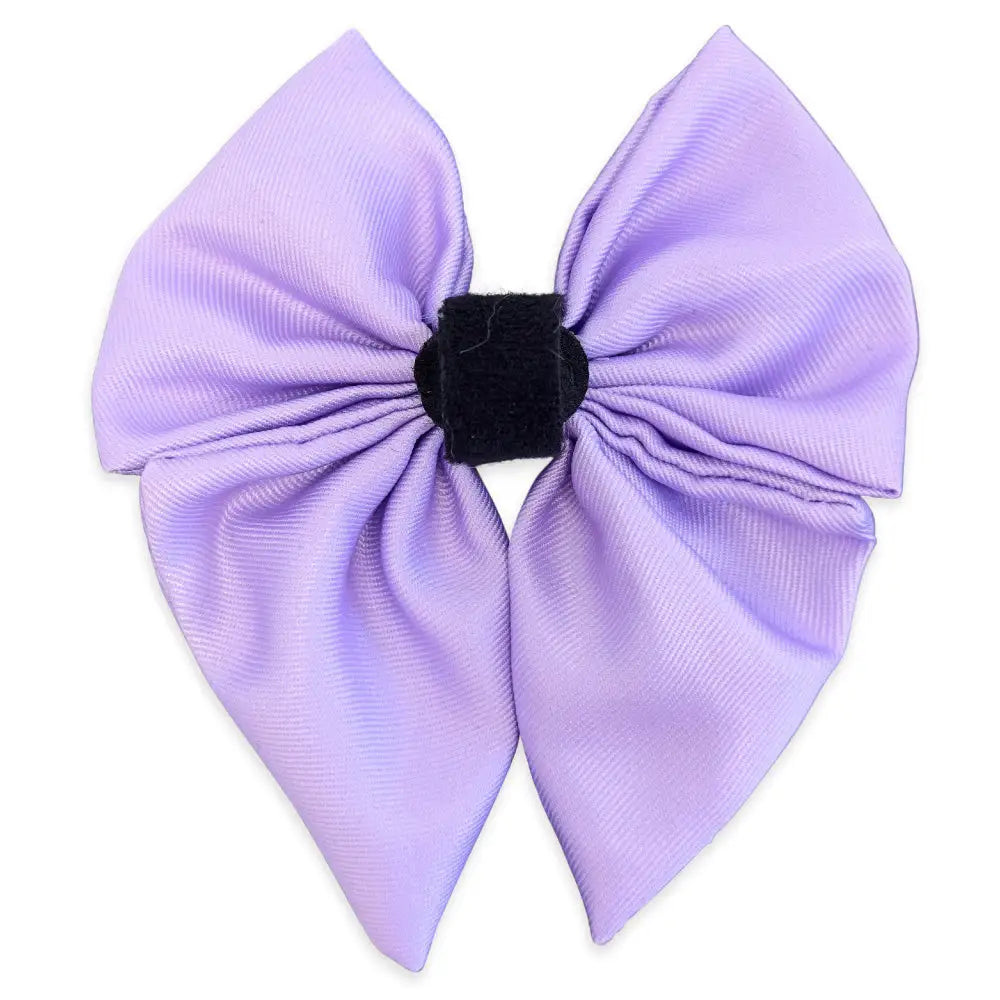 Lilac Dog Sailor Bow Tie - Piggie - 2