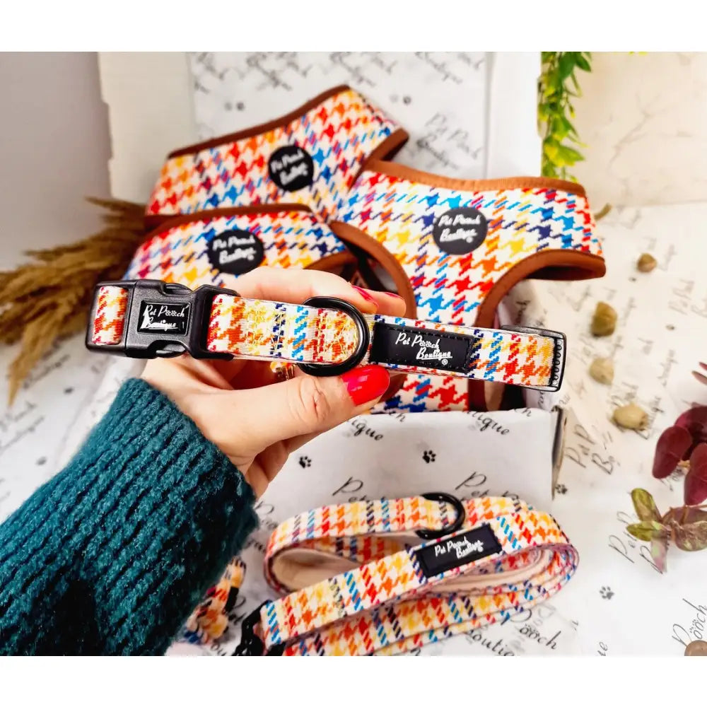 Lionheart Houndstooth Dog Collar Small - Sale - 1