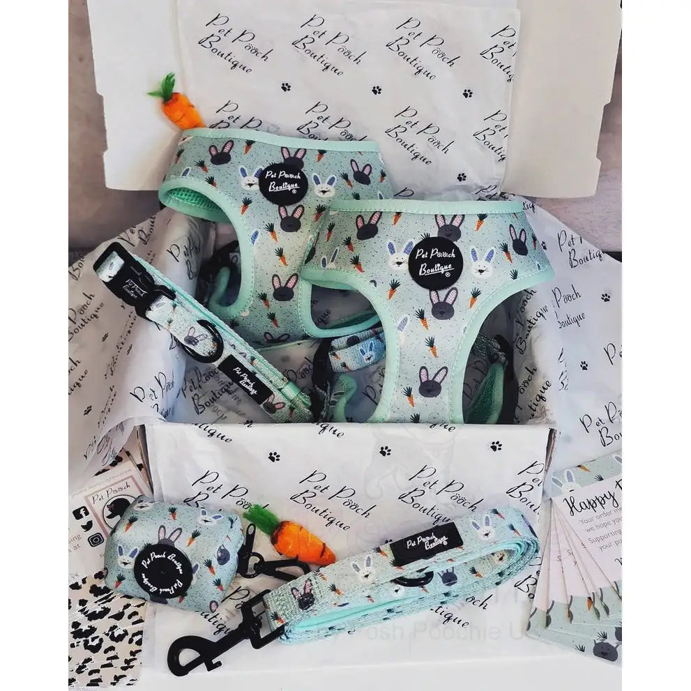 Little Bunnies Dog Lead - Pet Pooch - 3