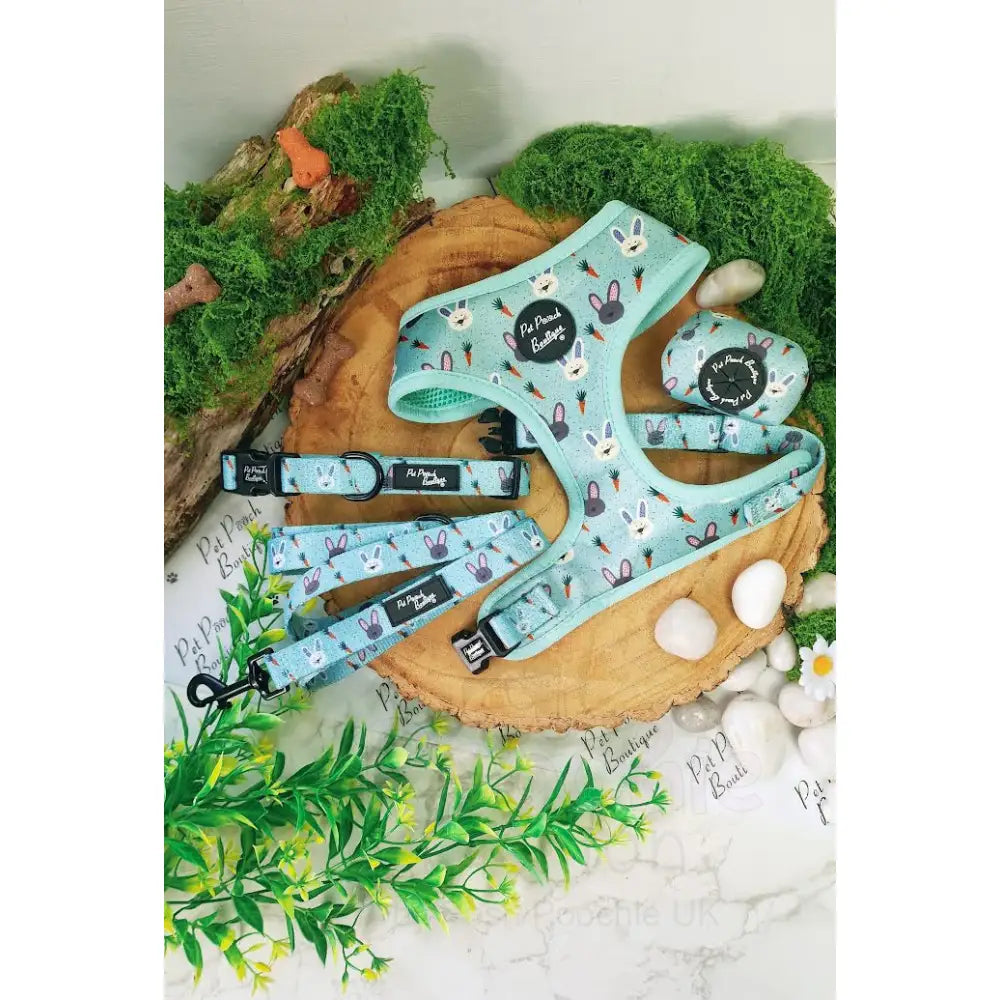 Little Easter Bunnies Dog Collar - Pet Pooch - 4