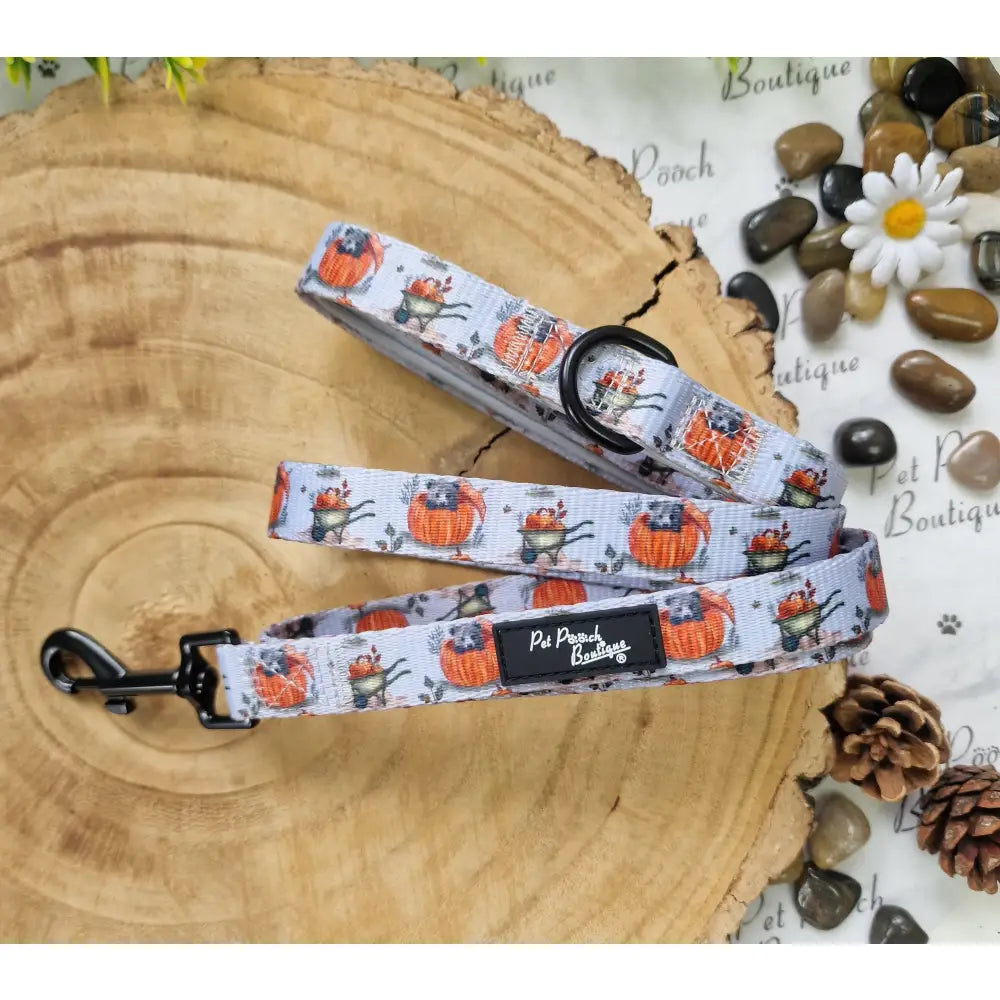 Little Pumpkin Bear Dog Lead - Pet Pooch - 1
