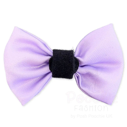 Llac Dog Bow Tie - Piggie - 2