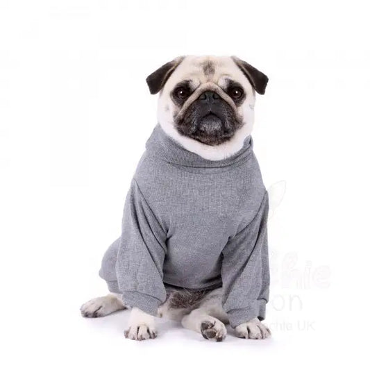 Long Sleeve Ribbed Dog T-shirt Grey - Rich Paw - 2
