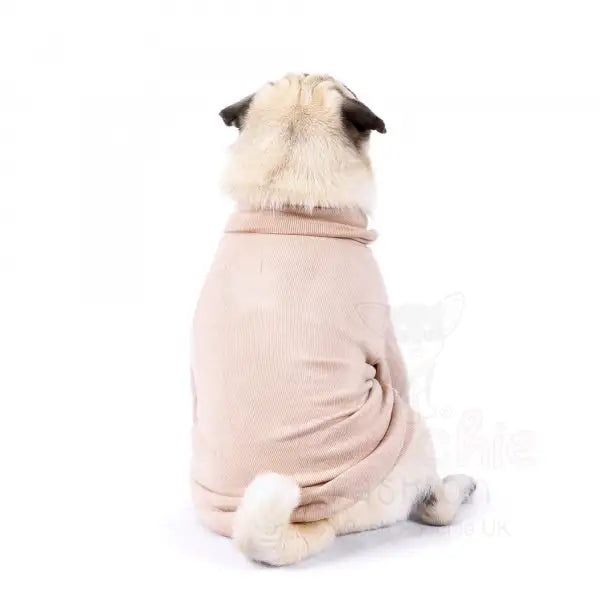 Long Sleeve Ribbed Dog T-shirt in Beige - Rich Paw - 3