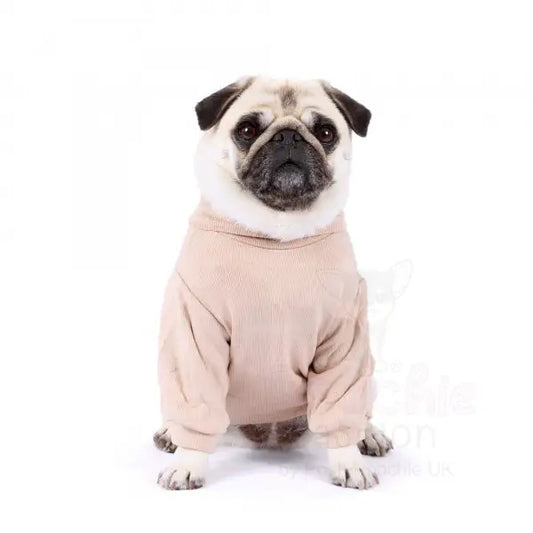 Long Sleeve Ribbed Dog T-shirt in Beige - Rich Paw - 2