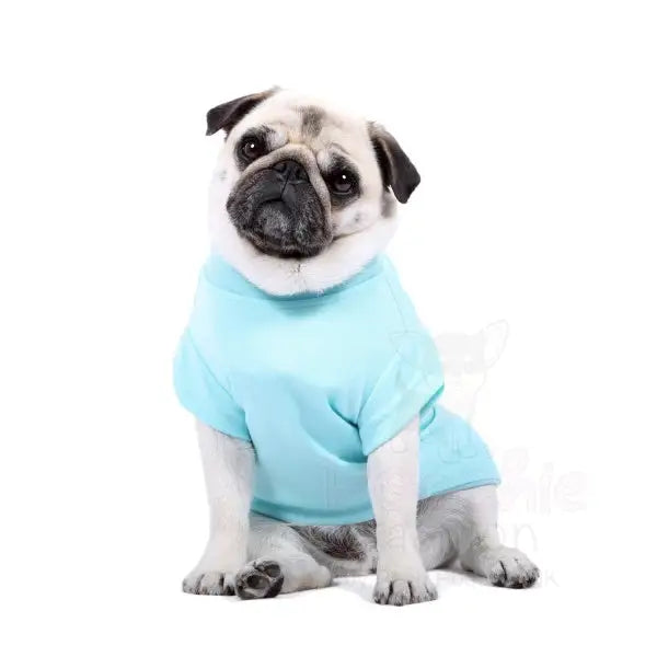 Luxury Aqua Blue Dog T-shirt - Rich Paw - 2