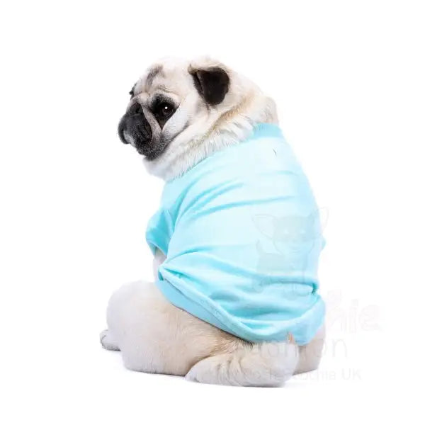 Luxury Aqua Blue Dog T-shirt - Rich Paw - 3