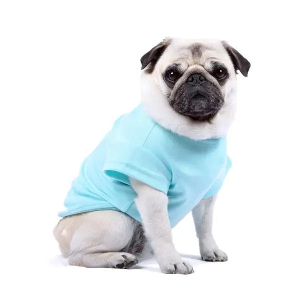 Luxury Aqua Blue Dog T-shirt - Rich Paw - 1