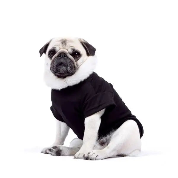 Luxury Black Dog T-shirt - Rich Paw - 1