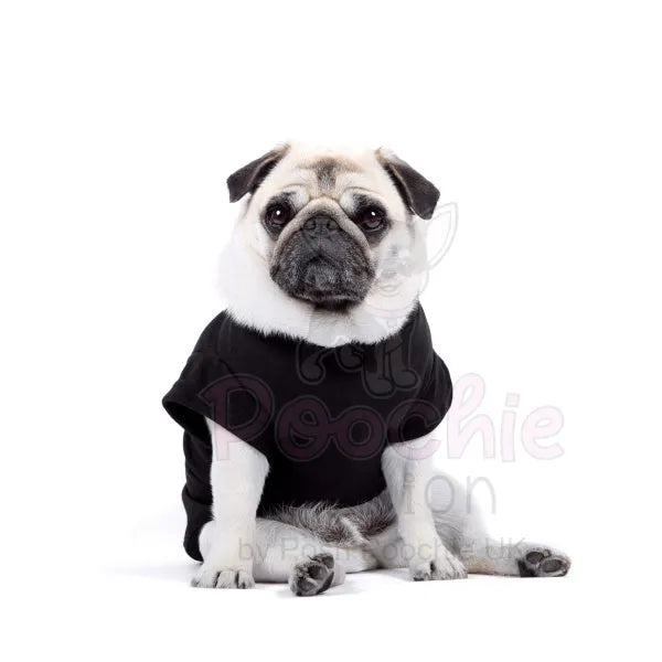 Luxury Black Dog T-shirt - Rich Paw - 2