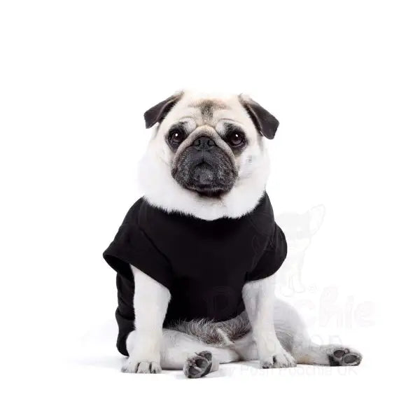 Luxury Black Dog T-shirt - Rich Paw - 2