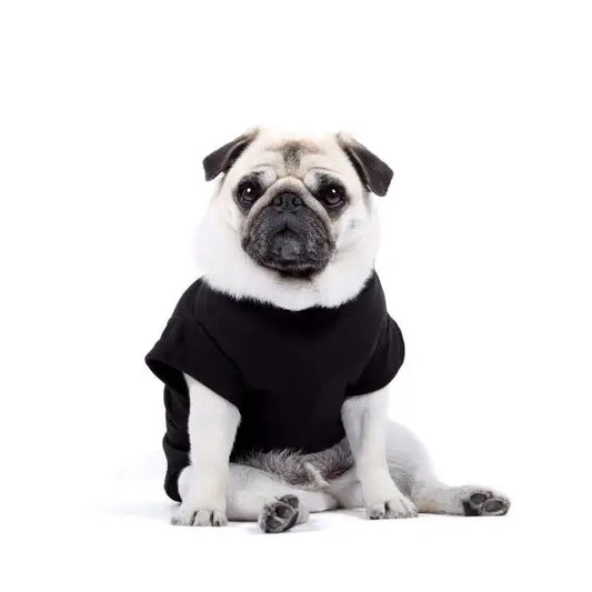 Luxury Black Dog T-shirt - Rich Paw - 2