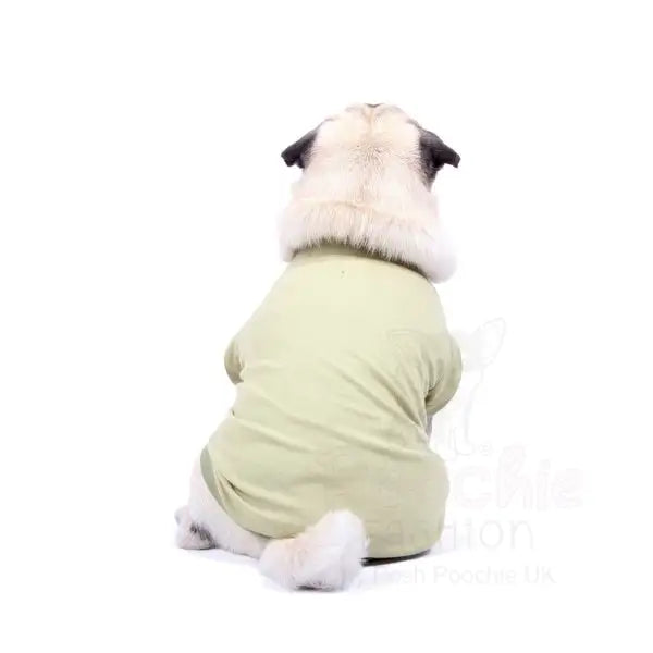 Luxury Khaki Green Dog T-shirt - Rich Paw - 3