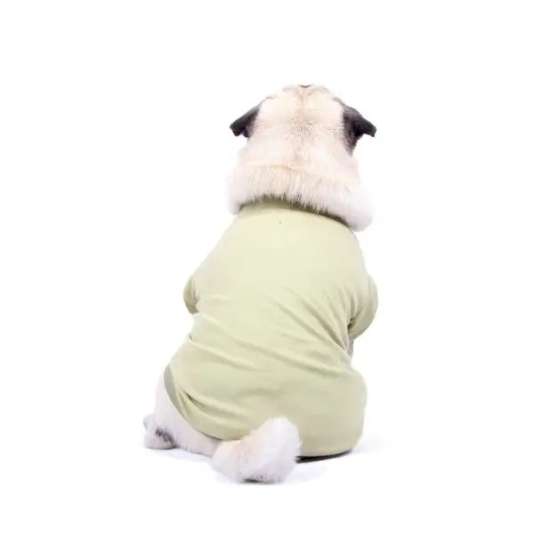 Luxury Khaki Green Dog T-shirt - Rich Paw - 3