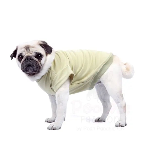 Luxury Khaki Green Dog T-shirt - Rich Paw - 2