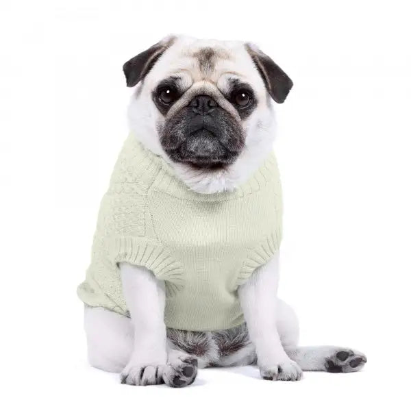 Luxury Supersoft Cable Knit Dog Jumper in Apple White - Rich Paw - 4