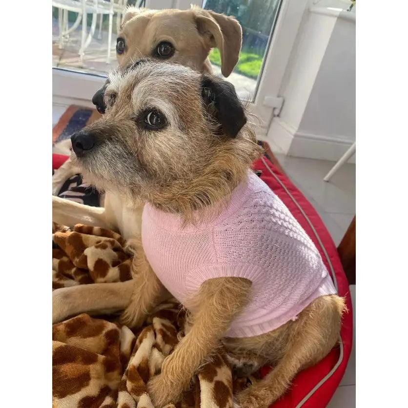 Luxury Supersoft Cable Knit Dog Jumper in Candy Floss Pink - Rich Paw - 7