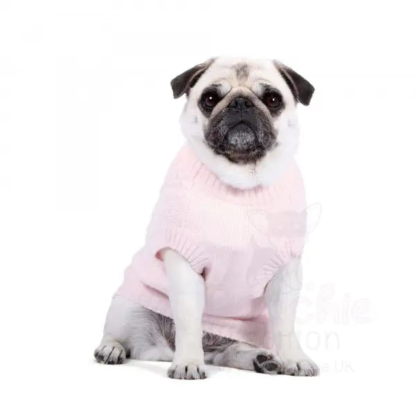 Luxury Supersoft Cable Knit Dog Jumper in Marshmallow - Rich Paw - 3