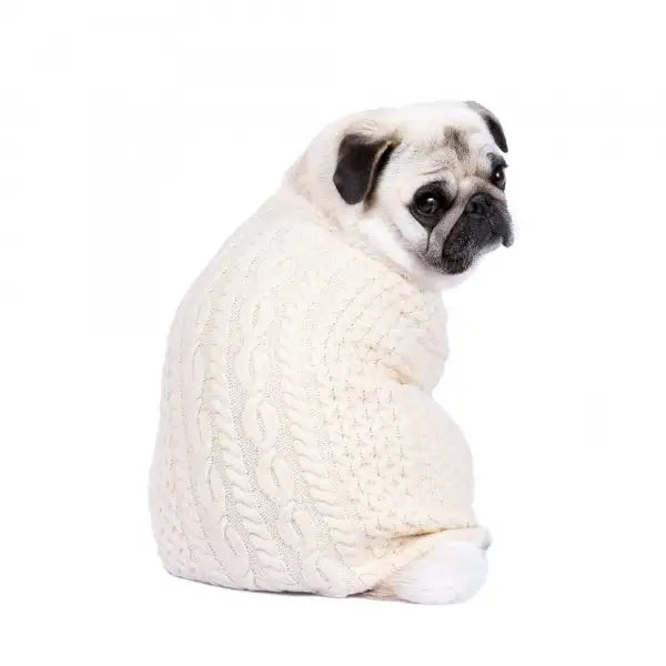 Luxury Supersoft Cable Knit Dog Jumper in Vanilla - Rich Paw - 4
