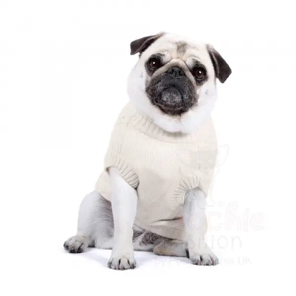 Luxury Supersoft Cable Knit Dog Jumper in Vanilla - Rich Paw - 3