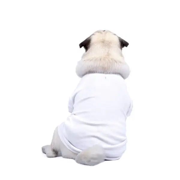 Luxury White Dog T-shirt - Rich Paw - 3