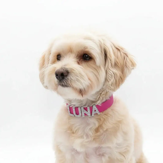 Magenta Pink Waterproof Personalised Dog Collar with Large Diamante Letters - Poochie Fashion - 2