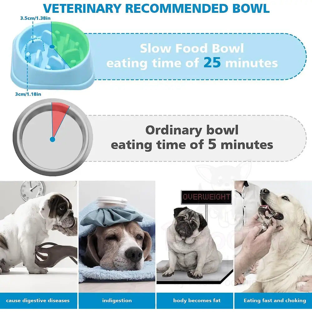 Maze Slow Feeder Dog Bowl in Blue - Posh Pawz - 3