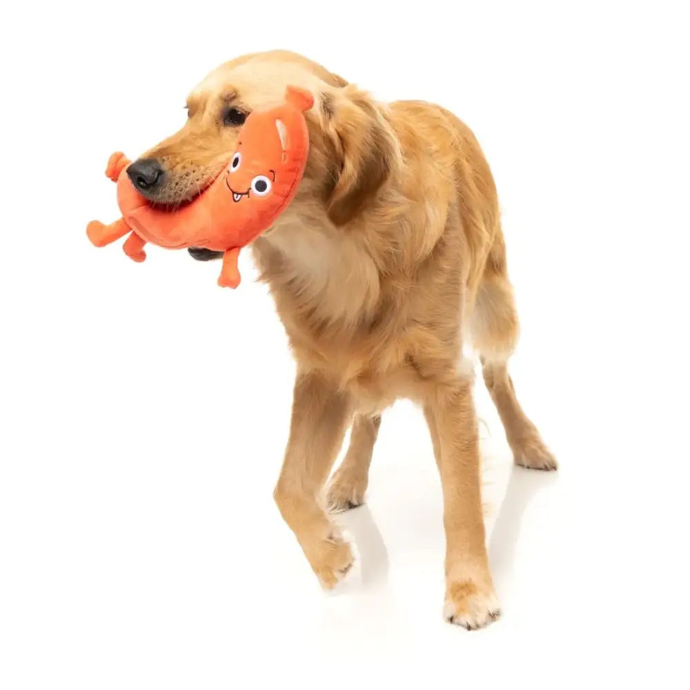 Meat Heads Brad Wurst Dog Toy by Fuzzyard - Fuzzyard - 6