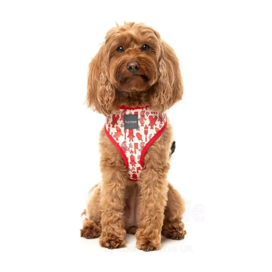 Meat Heads Dog Harness by Fuzzyard - Fuzzyard - 2