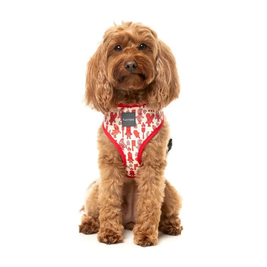 Meat Heads Dog Harness by Fuzzyard - Fuzzyard - 2