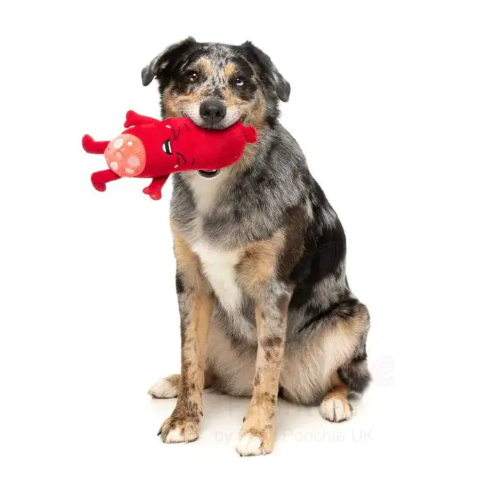 Meat Heads Pepper Toni Dog Toy by Fuzzyard - Fuzzyard - 5